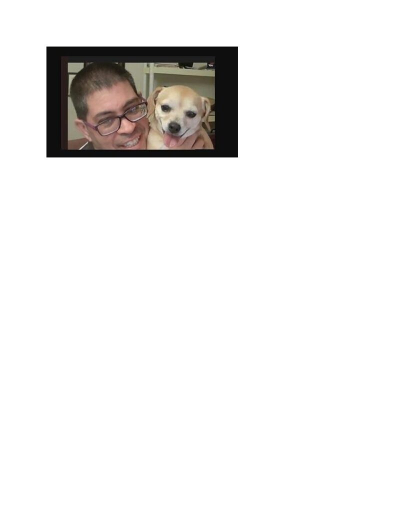 Increased depression after the loss of your pet