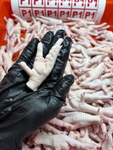 Order Frozen Chicken Paws – Aurora Alimentos